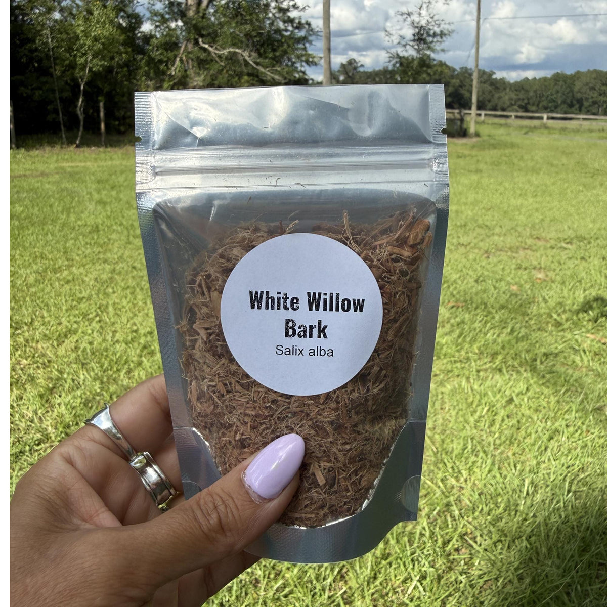 White Willow Bark | Cut & Sifted Dried Herb | Botanical Craft Supply | Herbal Projects, Sachets, Potpourri, DIY Wellness Blends