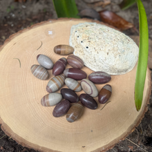 Shiva Lingam Stone – Sacred Crystal for Balance, Healing & Spiritual Energy