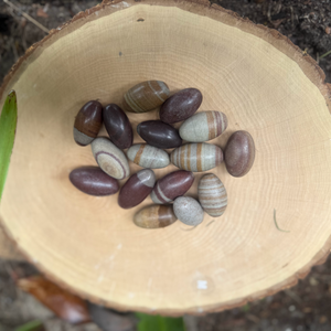 Shiva Lingam Stone – Sacred Crystal for Balance, Healing & Spiritual Energy