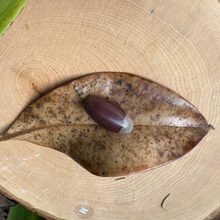 Shiva Lingam Stone – Sacred Crystal for Balance, Healing & Spiritual Energy