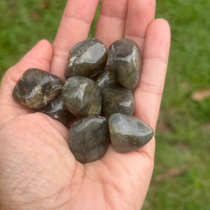 Hand holding Peacock Labradorite tumble stones – natural gemstone for psychic awareness and creativity