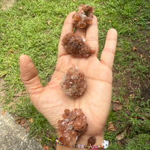 Hand holding three brown crystal rocks against a grassy background
