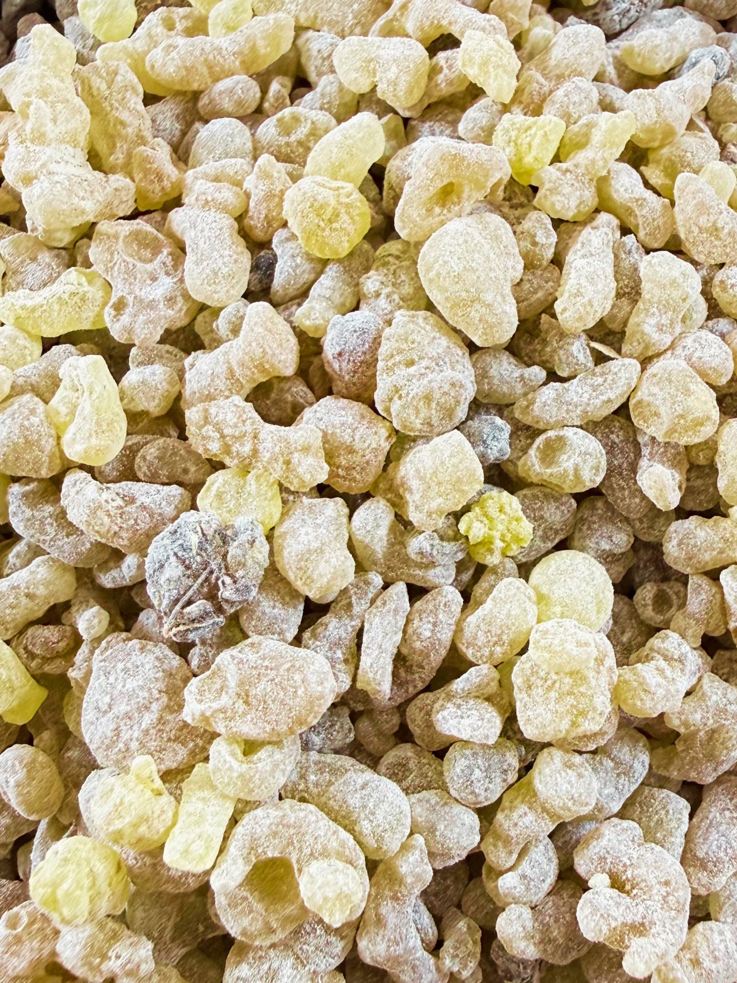 Frankincense Resin Incense – Natural Boswellia Granules
