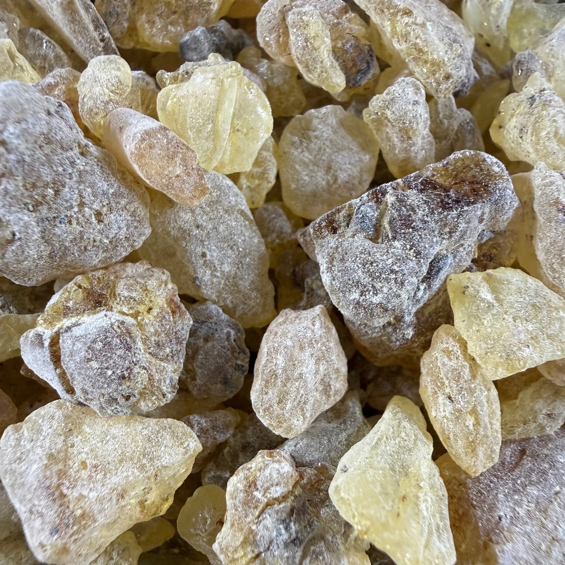 close-up of Peruvian Premium Copal pieces