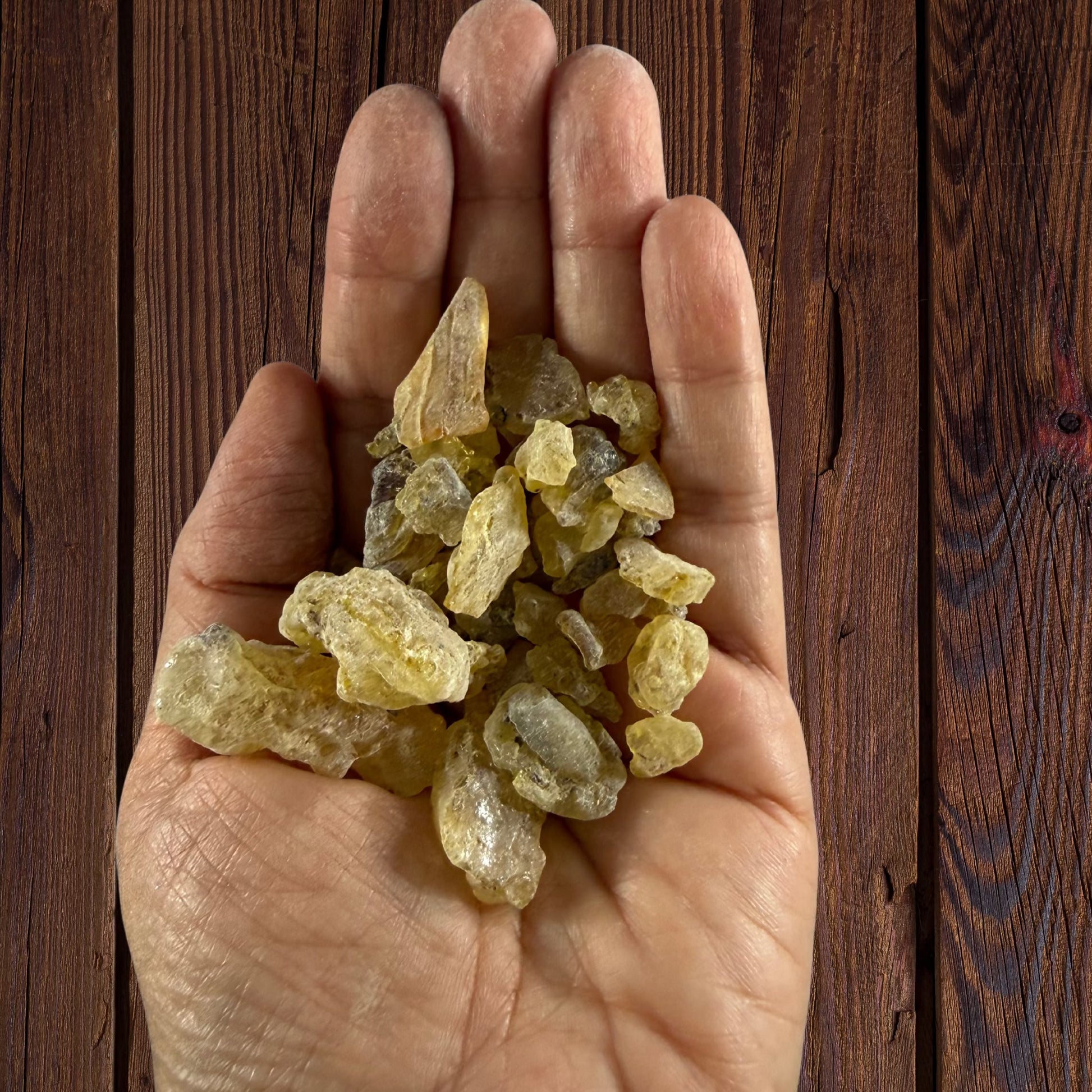 A hand holding Peruvian Copal 