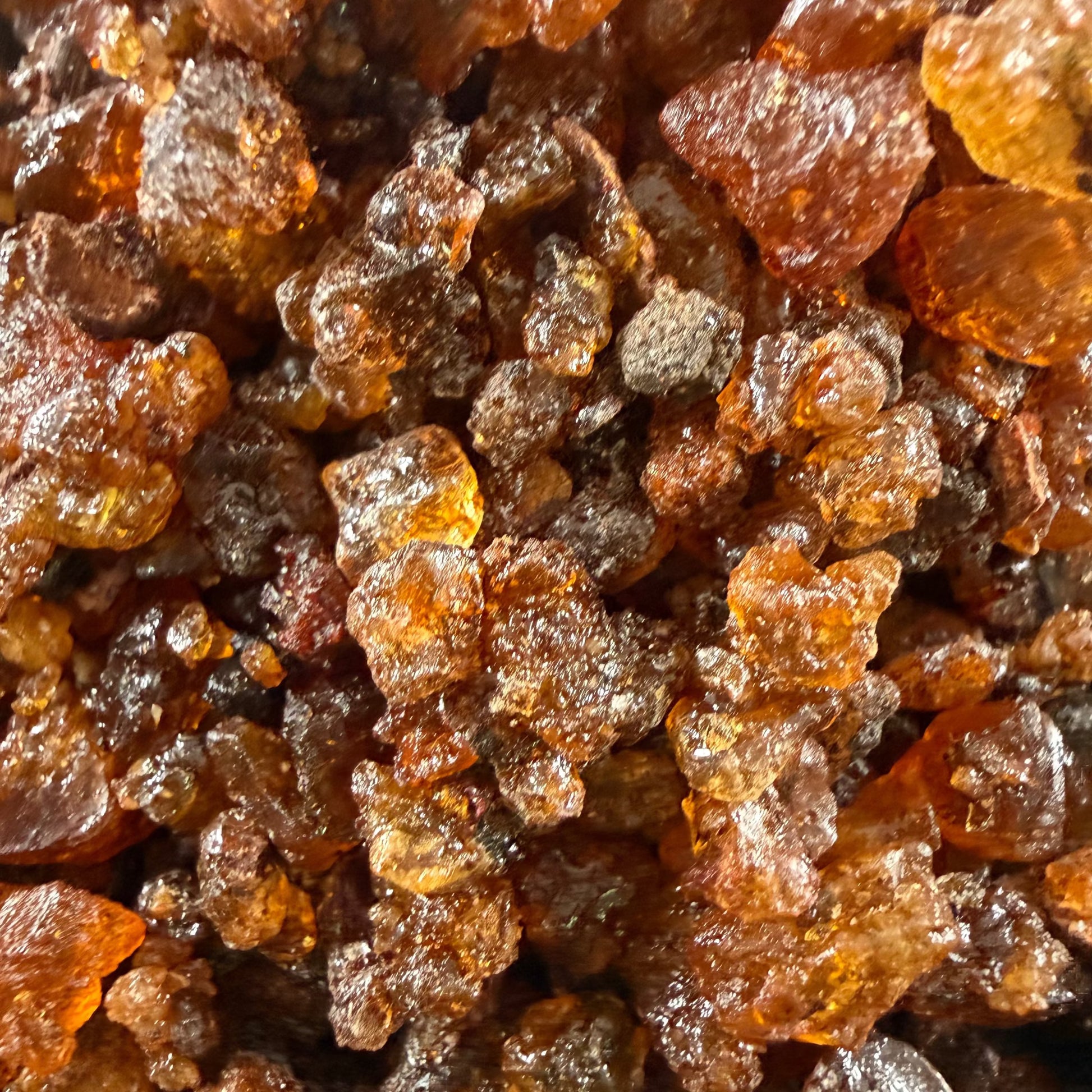 Close-up of amber and dark brown myrrh resin pieces with textured surfaces.