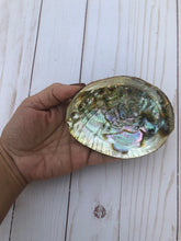 Small Rainbow Abalone Shell: Smudge Stick or Resin Burner (3-4 inch)