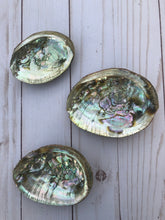Small Rainbow Abalone Shell: Smudge Stick or Resin Burner (3-4 inch)