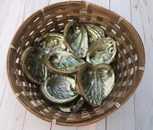 Small Rainbow Abalone Shell: Smudge Stick or Resin Burner (3-4 inch)