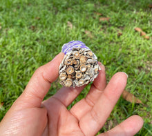 California White Sage Smudge Stick - Energy Clearing (4-5 inches)