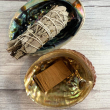 Raw Abalone Shell Bowl: Natural Smudging & Altar Cleansing