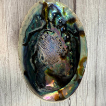 Raw Abalone Shell Bowl: Natural Smudging & Altar Cleansing