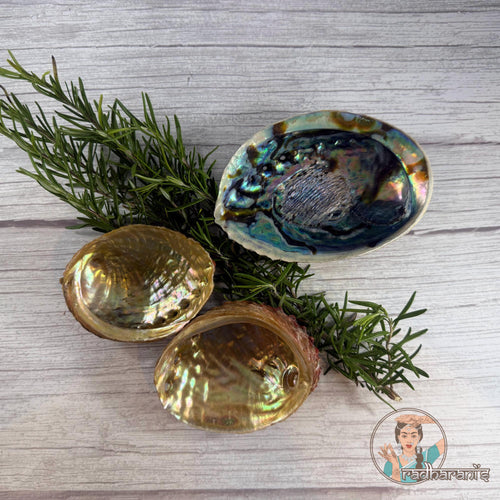 Raw Abalone Shell Bowl: Natural Smudging & Altar Cleansing