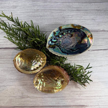 Raw Abalone Shell Bowl: Natural Smudging & Altar Cleansing