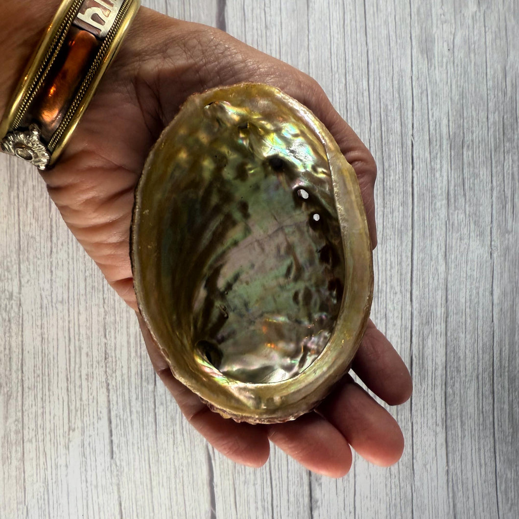 Raw Abalone Shell Bowl: Natural Smudging & Altar Cleansing