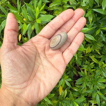 Shiva Lingam Stone: Narmada River Healing Crystal for Meditation