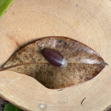 Shiva Lingam Stone: Narmada River Healing Crystal for Meditation