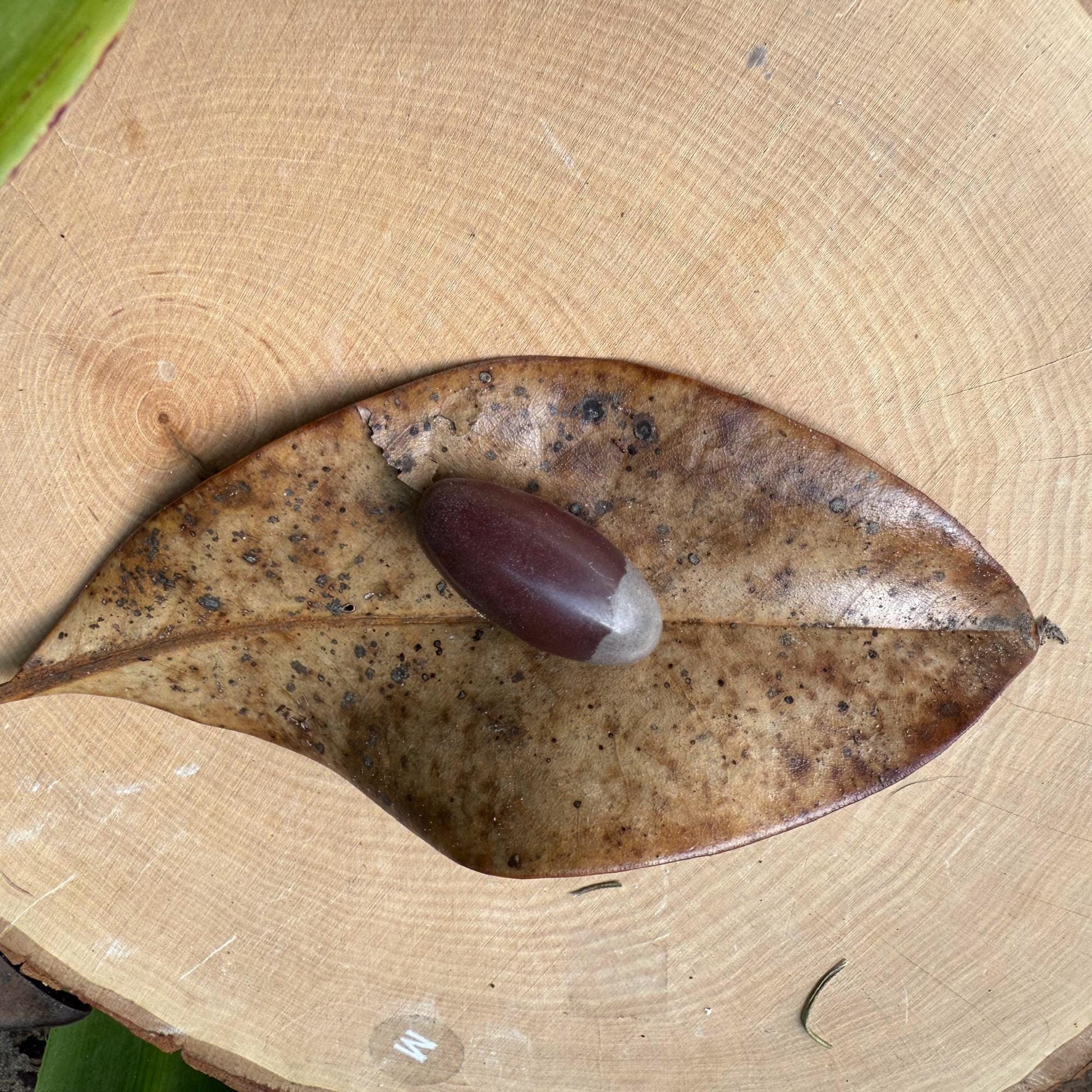 Shiva Lingam Stone: Narmada River Healing Crystal for Meditation