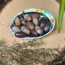Shiva Lingam Stone: Narmada River Healing Crystal for Meditation