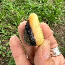 Septarian Tumbled Stones – Grounding Dragon Stone – Pocket, Grid & Meditation Crystals