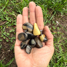 Septarian Tumbled Stones – Grounding Dragon Stone – Pocket, Grid & Meditation Crystals