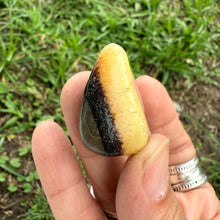 Septarian Tumbled Stones – Grounding Dragon Stone – Pocket, Grid & Meditation Crystals