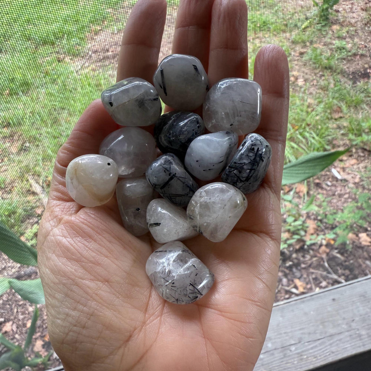 Hand holding Tourmalinated Quartz tumble stones – natural gemstone for protection and energy shielding