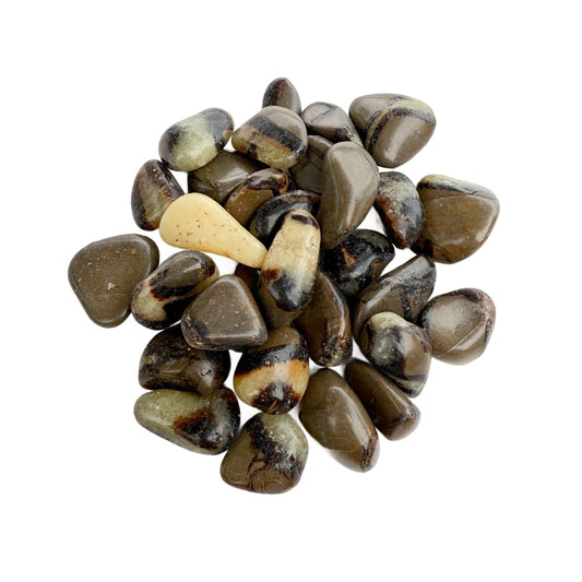 Septarian Tumbled Stones – Grounding Dragon Stone – Pocket, Grid & Meditation Crystals