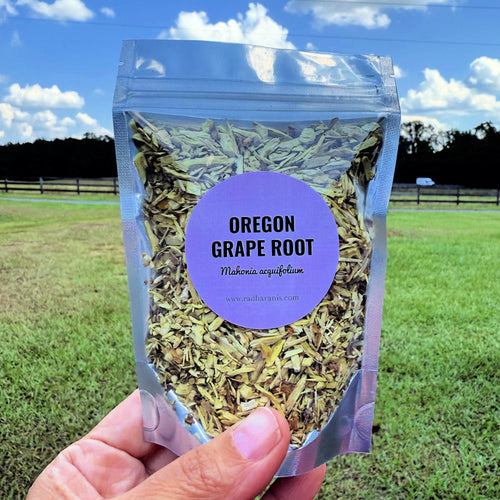 Organic Oregon Grape Root – Dried Cut & Sifted – Herbal Wellness and Tea | .5 oz, 1 oz, 2 oz, 4 oz