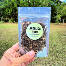 Angelica Root – Dried Cut & Sifted Herb – Herbal Tea and Apothecary Use | .5 oz, 1 oz, 2 oz, 4 oz