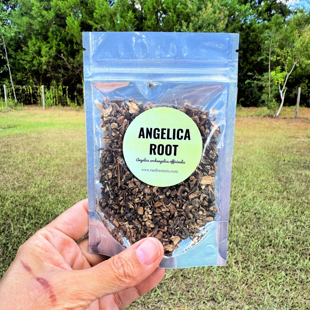 Angelica Root – Dried Cut & Sifted Herb – Herbal Tea and Apothecary Use | .5 oz, 1 oz, 2 oz, 4 oz