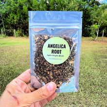 Angelica Root – Dried Cut & Sifted Herb – Herbal Tea and Apothecary Use | .5 oz, 1 oz, 2 oz, 4 oz