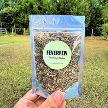 Feverfew – Dried Cut and Sifted Herb – Herbal Tea & Apothecary Use | .5 oz, 1 oz, 2 oz, 4 oz