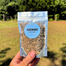 Organic Mugwort | Artemisia vulgaris | Dried Loose Herb | 0.5 oz – 4 oz | Herbal Tea, Infusions, Baths, Apothecary