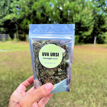 Uva Ursi – Dried Cut & Sifted Herb – Herbal Tea and Apothecary Use | .5 oz, 1 oz, 2 oz, 4 oz