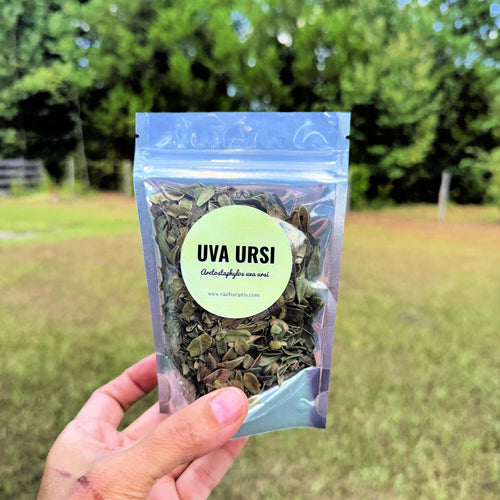 Uva Ursi – Dried Cut & Sifted Herb – Herbal Tea and Apothecary Use | .5 oz, 1 oz, 2 oz, 4 oz