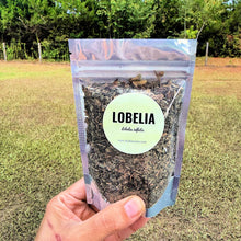 Lobelia Herb | Dried Organic Lobelia inflata | Herbal Apothecary | Spiritual Cleansing | Air Element Herb
