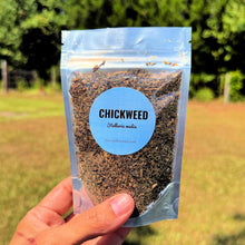 Wildcrafted Chickweed | Stellaria media | Hand-harvested Herb | Cooling, Soothing, Purifying