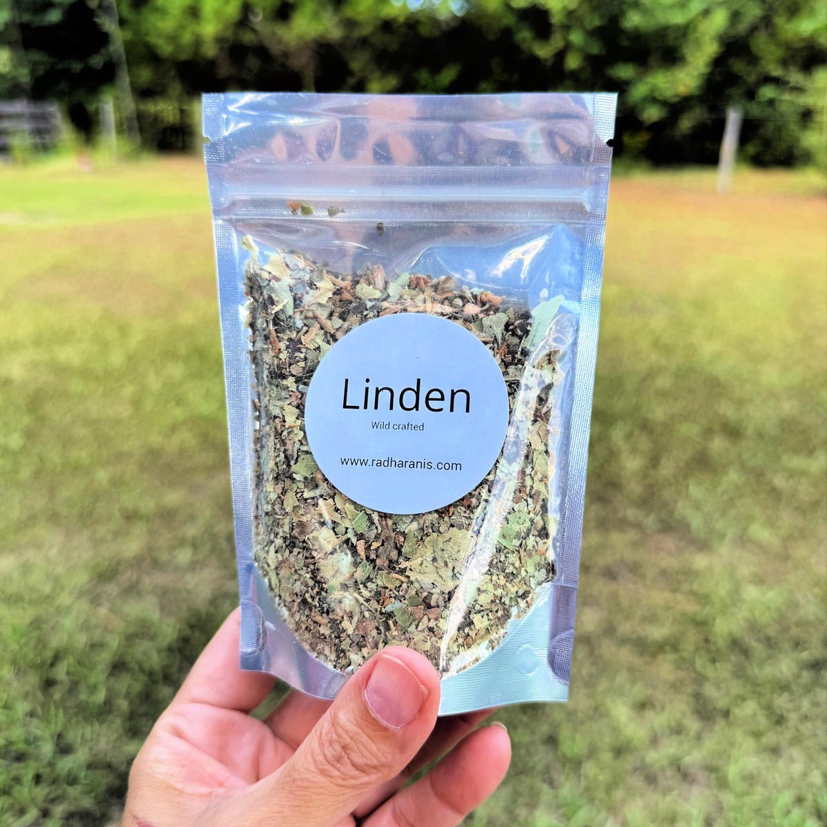 Wildcrafted Linden Herb and Flowers | Tilia spp. | Hand-Harvested & Air-Dried | Calming, Heart-Opening Herb
