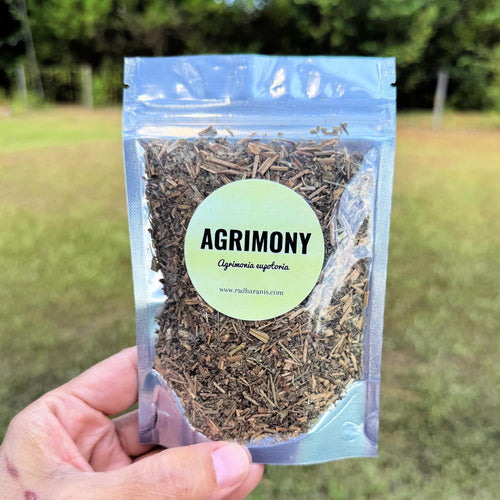 Wildcrafted Agrimony | Agrimonia eupatoria | Hand-Harvested Herb | Cleansing, Grounding & Protective
