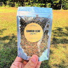 Ginkgo Biloba Leaf | Dried Herb for Tea, Crafts & Rituals | Naturally Grown | 0.5oz–4oz Foil Pouches