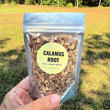 Wildcrafted Calamus Root | Dried Herb | Ethically Harvested & Hand-Packed | 0.5oz–4oz Foil Pouches |