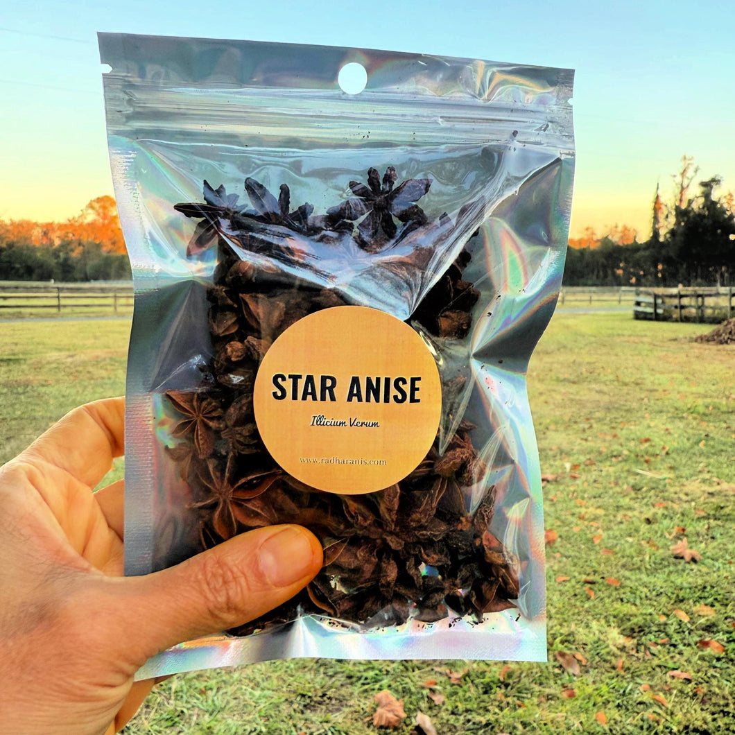 Wildcrafted Star Anise | Illicium verum | Whole Pods | Aromatic Spice & Herbal Use