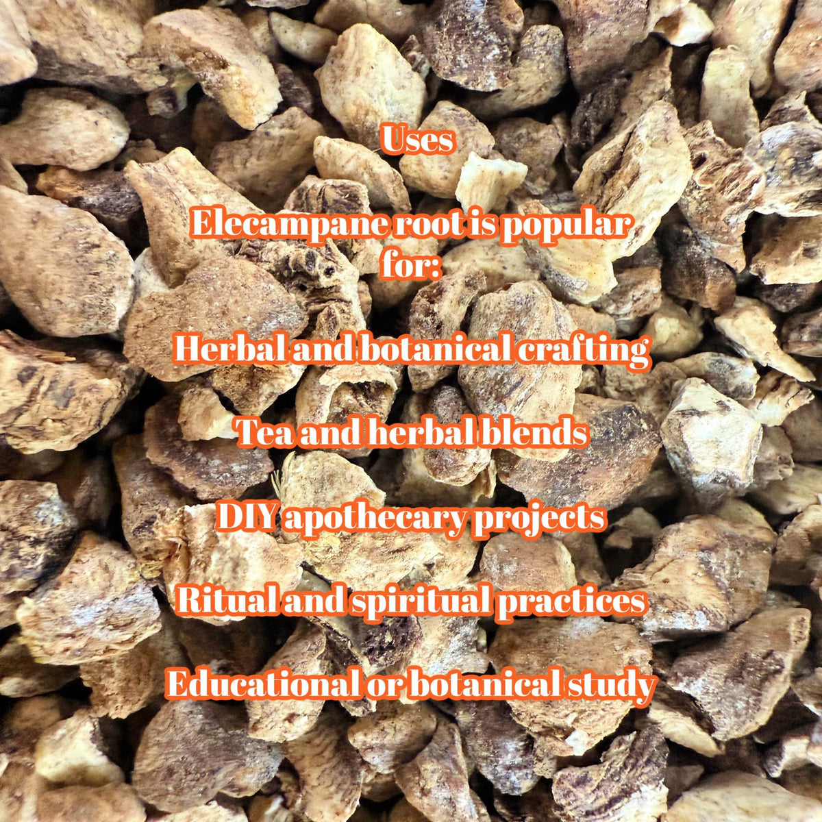 Elecampane Root – Wildcrafted Dried Herb | Herbal Crafting & Tea Blends |