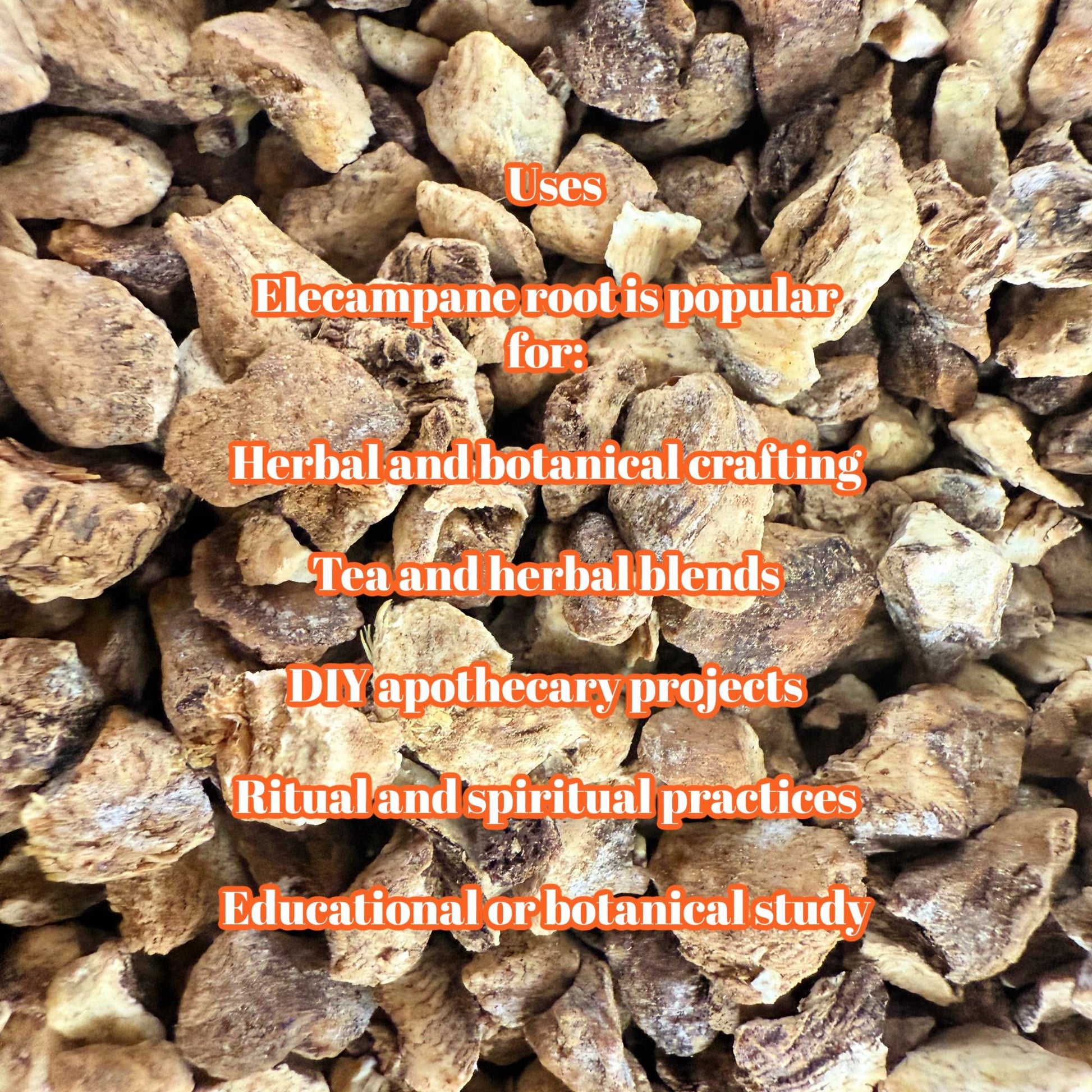 Elecampane Root – Wildcrafted Dried Herb | Herbal Crafting & Tea Blends |