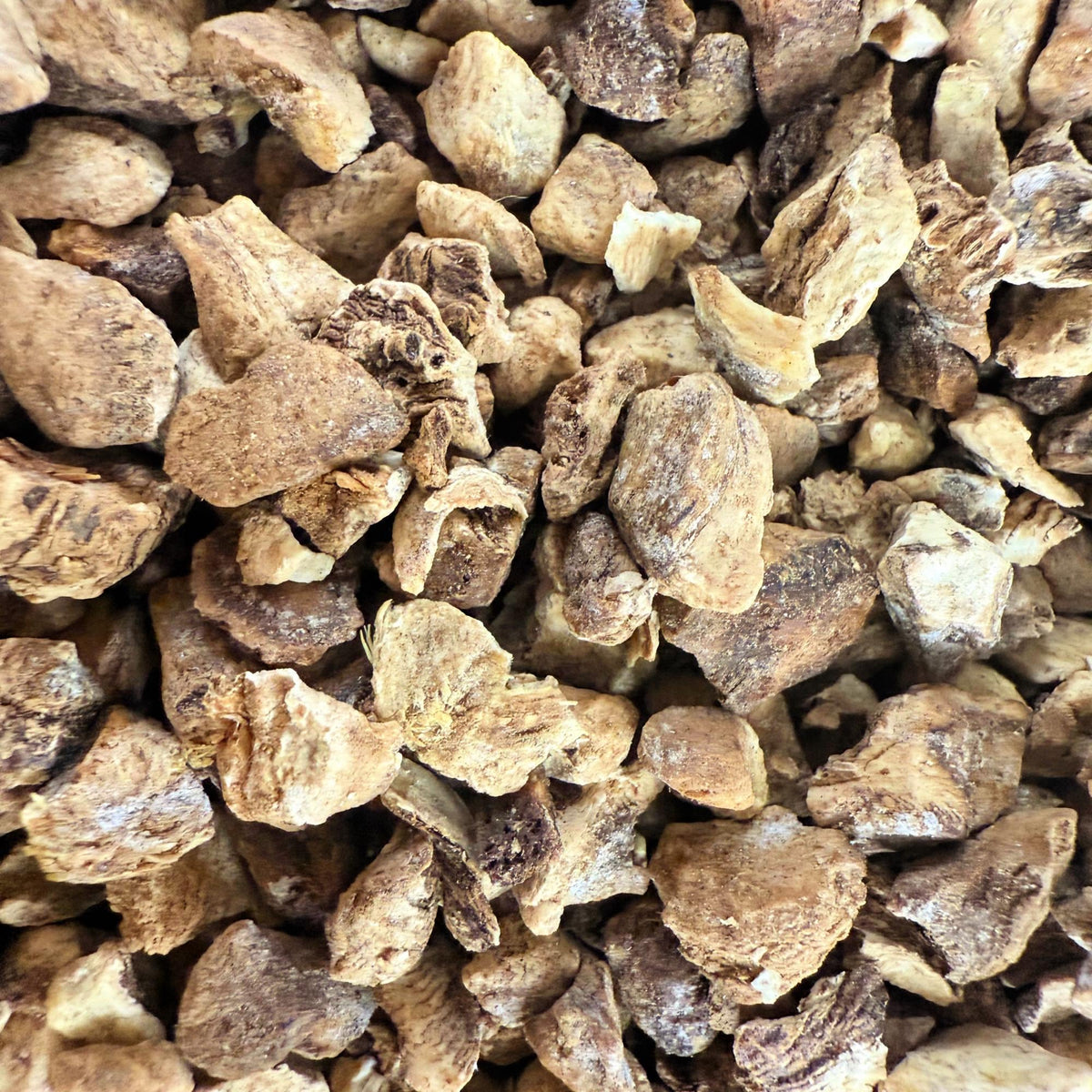 Elecampane Root – Wildcrafted Dried Herb | Herbal Crafting & Tea Blends |
