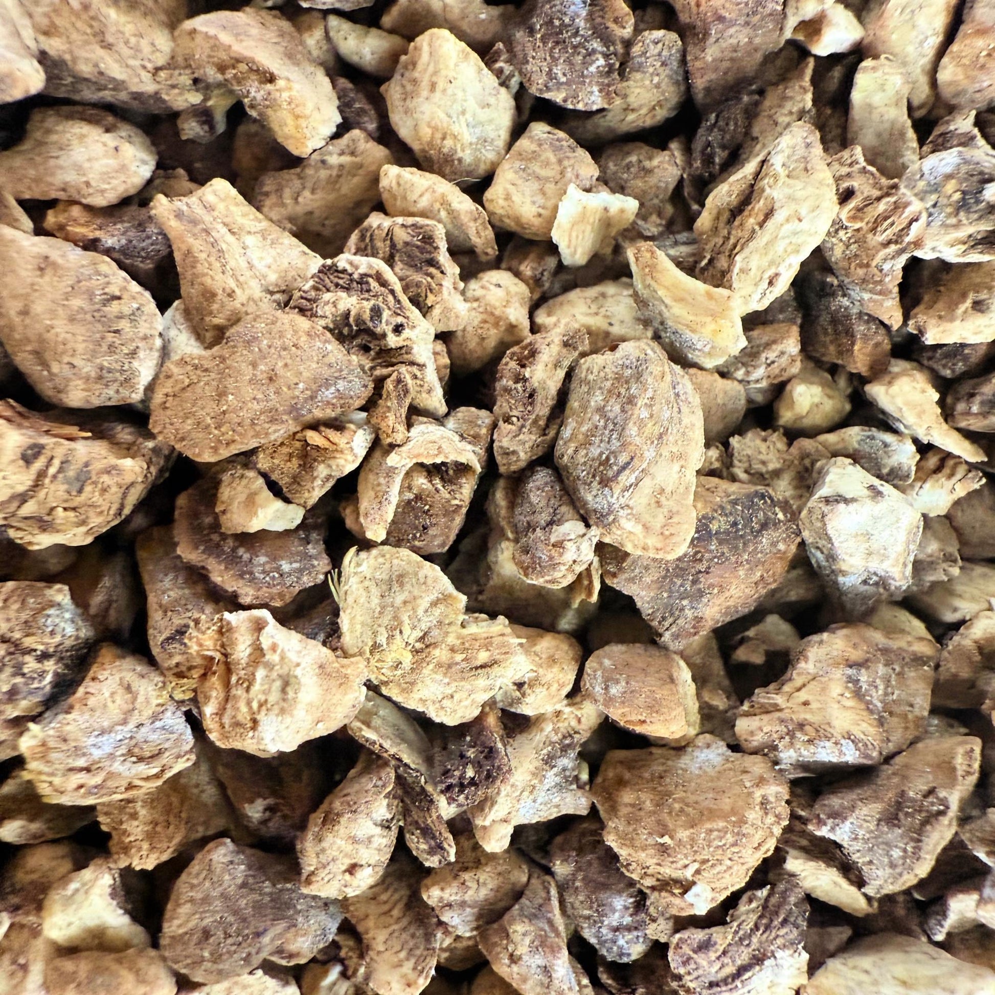 Elecampane Root – Wildcrafted Dried Herb | Herbal Crafting & Tea Blends |