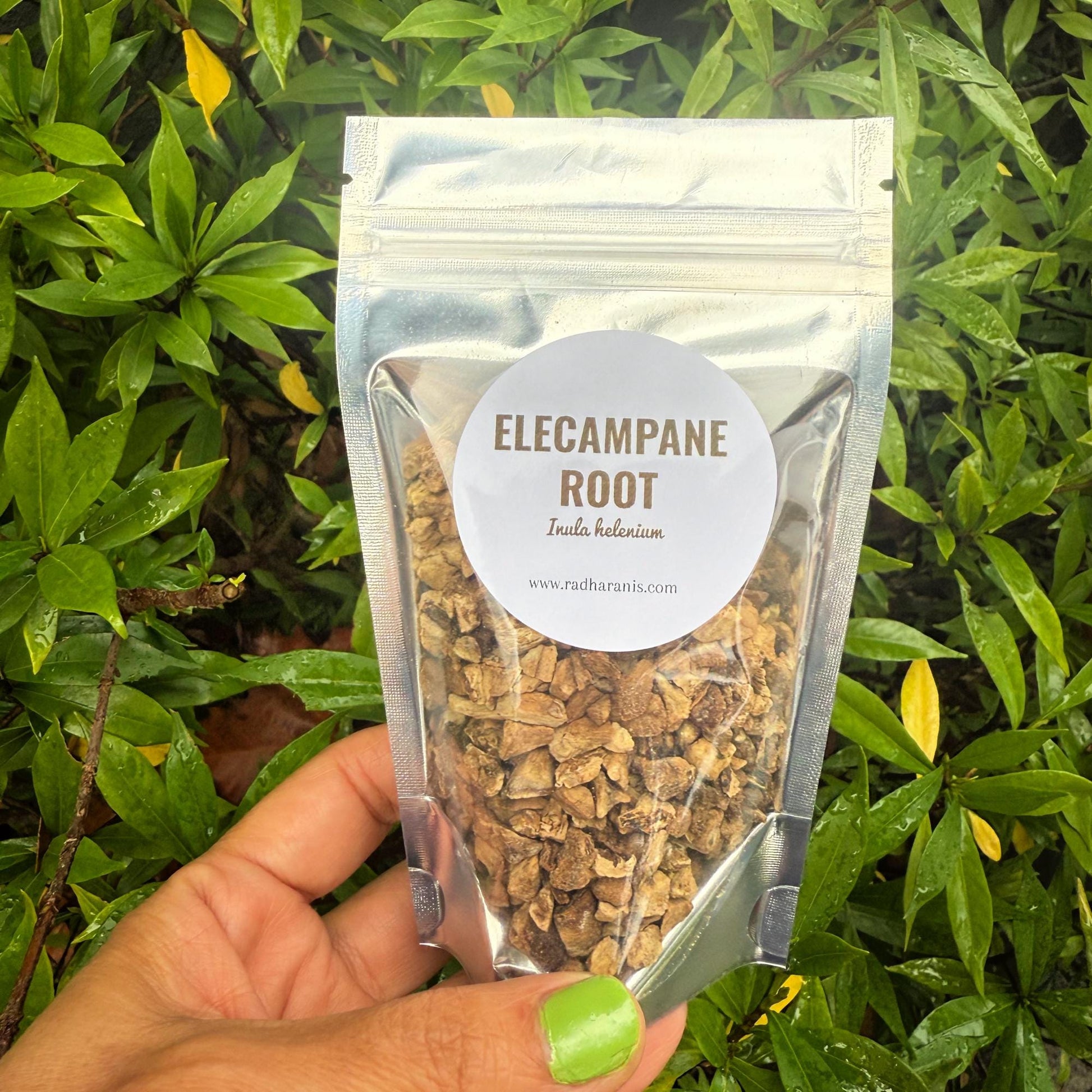 Elecampane Root – Wildcrafted Dried Herb | Herbal Crafting & Tea Blends |