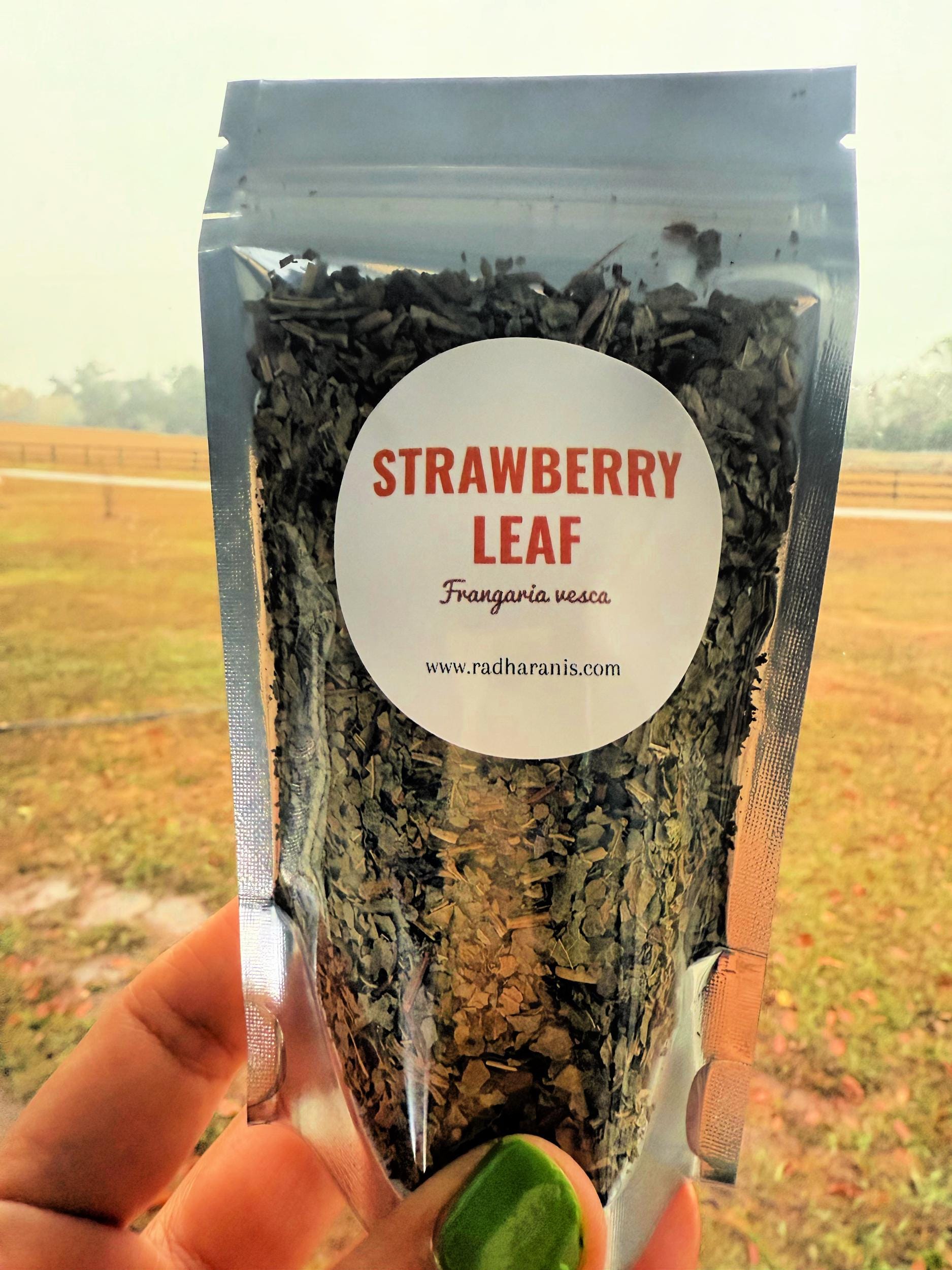 Wildcrafted Strawberry Leaf – Dried Herb | Herbal Tea, Crafting & Apothecary |