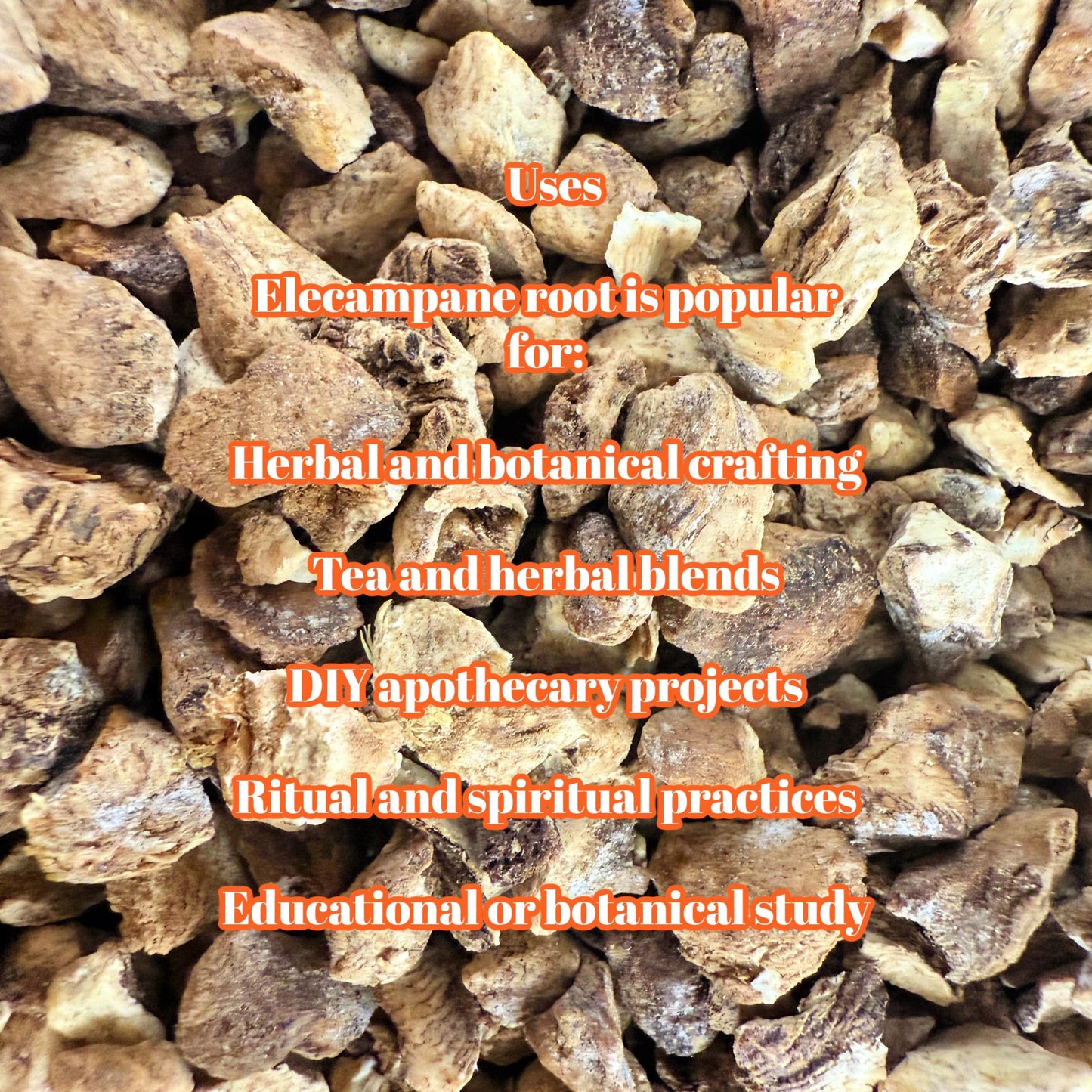 Elecampane Root – Wildcrafted Dried Herb | Herbal Crafting & Tea Blends |